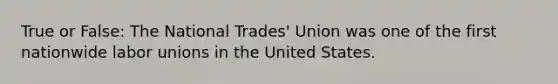 True or False: The National Trades' Union was one of the first nationwide labor unions in the United States.