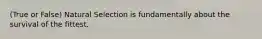 (True or False) Natural Selection is fundamentally about the survival of the fittest.