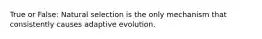 True or False: Natural selection is the only mechanism that consistently causes adaptive evolution.