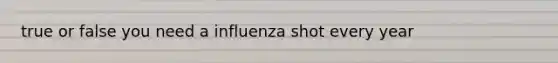 true or false you need a influenza shot every year