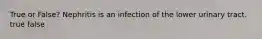 True or False? Nephritis is an infection of the lower urinary tract. true false