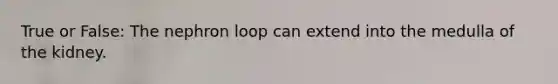 True or False: The nephron loop can extend into the medulla of the kidney.