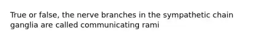 True or false, the nerve branches in the sympathetic chain ganglia are called communicating rami