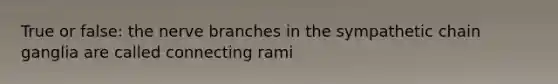 True or false: the nerve branches in the sympathetic chain ganglia are called connecting rami