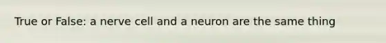 True or False: a nerve cell and a neuron are the same thing