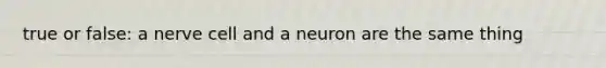 true or false: a nerve cell and a neuron are the same thing