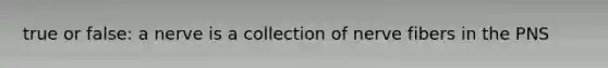 true or false: a nerve is a collection of nerve fibers in the PNS