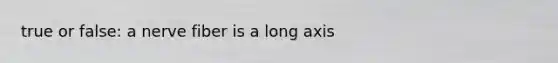 true or false: a nerve fiber is a long axis