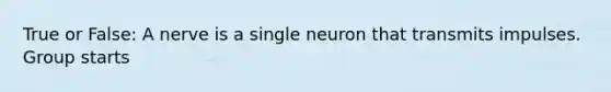 True or False: A nerve is a single neuron that transmits impulses. Group starts