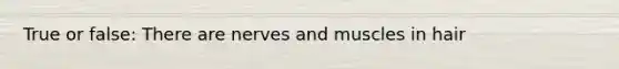 True or false: There are nerves and muscles in hair
