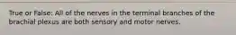 True or False: All of the nerves in the terminal branches of the brachial plexus are both sensory and motor nerves.