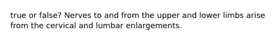 true or false? Nerves to and from the upper and lower limbs arise from the cervical and lumbar enlargements.