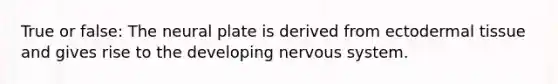 True or false: The neural plate is derived from ectodermal tissue and gives rise to the developing nervous system.