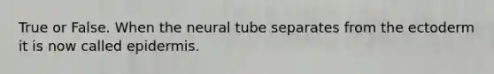 True or False. When the neural tube separates from the ectoderm it is now called epidermis.