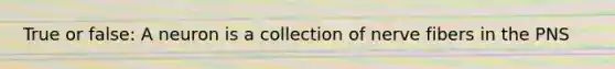 True or false: A neuron is a collection of nerve fibers in the PNS