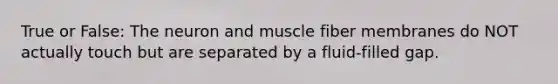 True or False: The neuron and muscle fiber membranes do NOT actually touch but are separated by a fluid-filled gap.