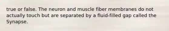 true or false. The neuron and muscle fiber membranes do not actually touch but are separated by a fluid-filled gap called the Synapse.