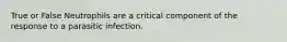 True or False Neutrophils are a critical component of the response to a parasitic infection.