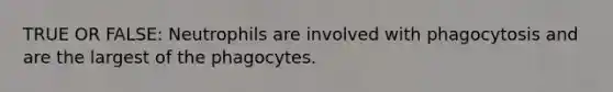 TRUE OR FALSE: Neutrophils are involved with phagocytosis and are the largest of the phagocytes.