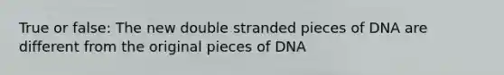 True or false: The new double stranded pieces of DNA are different from the original pieces of DNA