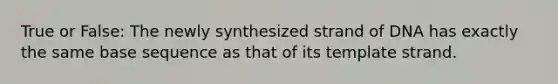 True or False: The newly synthesized strand of DNA has exactly the same base sequence as that of its template strand.