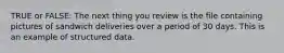 TRUE or FALSE: The next thing you review is the file containing pictures of sandwich deliveries over a period of 30 days. This is an example of structured data.