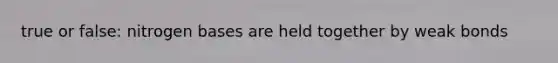 true or false: nitrogen bases are held together by weak bonds