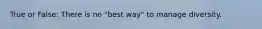 True or False: There is no "best way" to manage diversity.