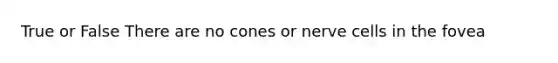 True or False There are no cones or nerve cells in the fovea