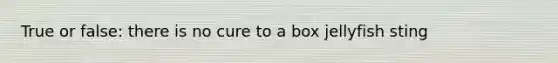 True or false: there is no cure to a box jellyfish sting