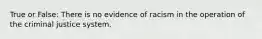 True or False: There is no evidence of racism in the operation of the criminal justice system.