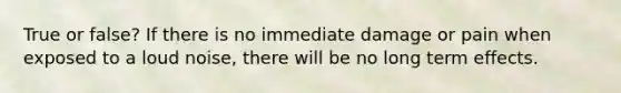 True or false? If there is no immediate damage or pain when exposed to a loud noise, there will be no long term effects.