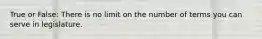 True or False: There is no limit on the number of terms you can serve in legislature.