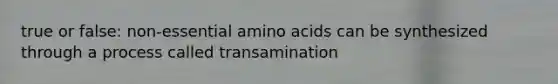 true or false: non-essential amino acids can be synthesized through a process called transamination