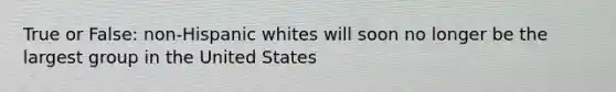 True or False: non-Hispanic whites will soon no longer be the largest group in the United States