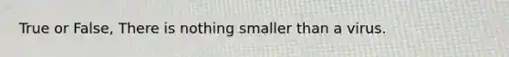 True or False, There is nothing smaller than a virus.