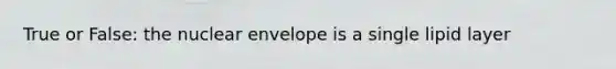 True or False: the nuclear envelope is a single lipid layer