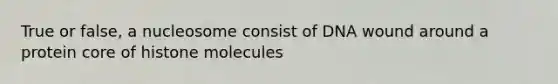 True or false, a nucleosome consist of DNA wound around a protein core of histone molecules