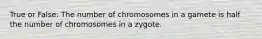 True or False: The number of chromosomes in a gamete is half the number of chromosomes in a zygote.