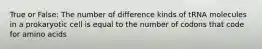 True or False: The number of difference kinds of tRNA molecules in a prokaryotic cell is equal to the number of codons that code for amino acids