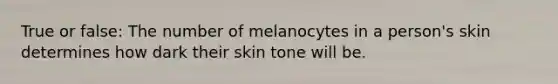 True or false: The number of melanocytes in a person's skin determines how dark their skin tone will be.