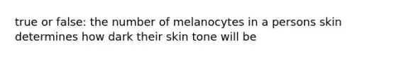 true or false: the number of melanocytes in a persons skin determines how dark their skin tone will be