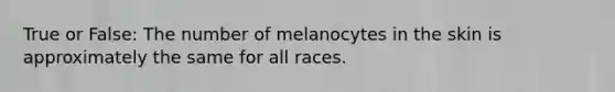 True or False: The number of melanocytes in the skin is approximately the same for all races.