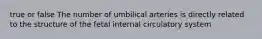 true or false The number of umbilical arteries is directly related to the structure of the fetal internal circulatory system