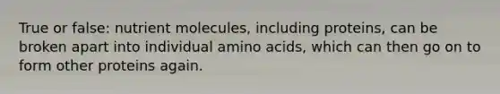 True or false: nutrient molecules, including proteins, can be broken apart into individual amino acids, which can then go on to form other proteins again.