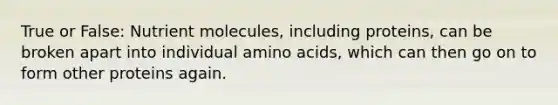 True or False: Nutrient molecules, including proteins, can be broken apart into individual amino acids, which can then go on to form other proteins again.