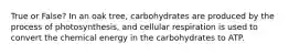 True or False? In an oak tree, carbohydrates are produced by the process of photosynthesis, and cellular respiration is used to convert the chemical energy in the carbohydrates to ATP.