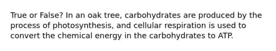 True or False? In an oak tree, carbohydrates are produced by the <a href='https://www.questionai.com/knowledge/kZdL6DGYI4-process-of-photosynthesis' class='anchor-knowledge'>process of photosynthesis</a>, and <a href='https://www.questionai.com/knowledge/k1IqNYBAJw-cellular-respiration' class='anchor-knowledge'>cellular respiration</a> is used to convert the chemical energy in the carbohydrates to ATP.