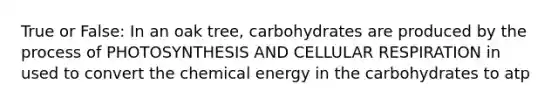 True or False: In an oak tree, carbohydrates are produced by the process of PHOTOSYNTHESIS AND CELLULAR RESPIRATION in used to convert the chemical energy in the carbohydrates to atp