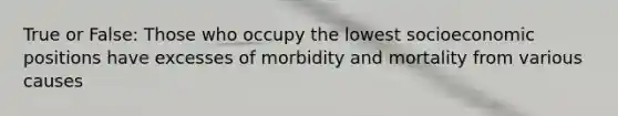 True or False: Those who occupy the lowest socioeconomic positions have excesses of morbidity and mortality from various causes